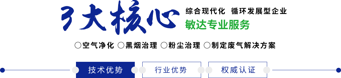 啊日出水了用力公子视频敏达环保科技（嘉兴）有限公司